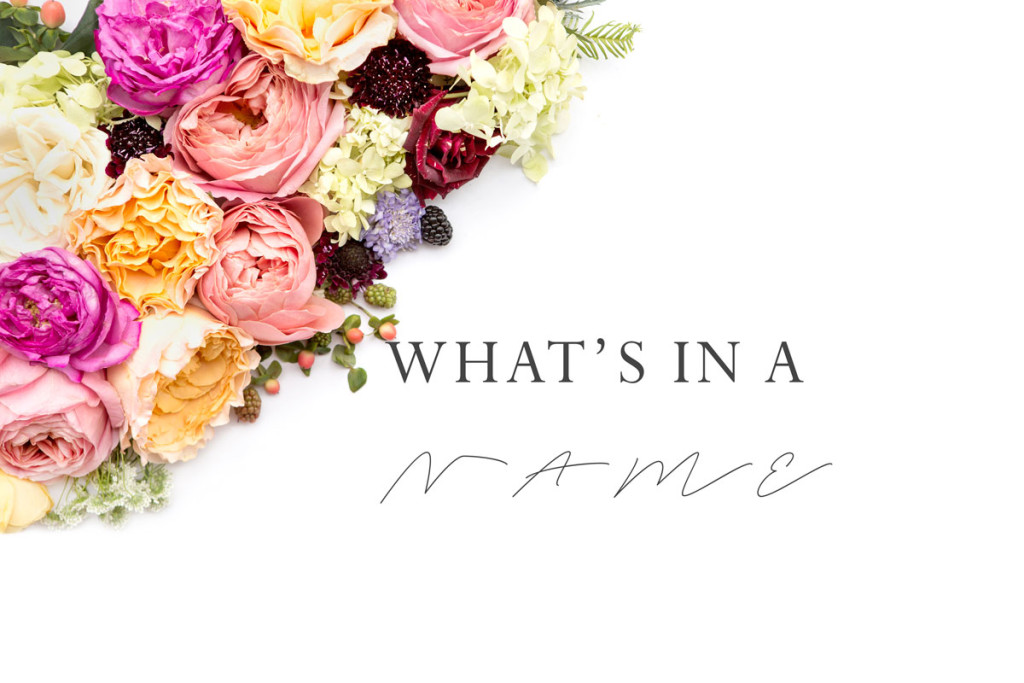 what's in a name 