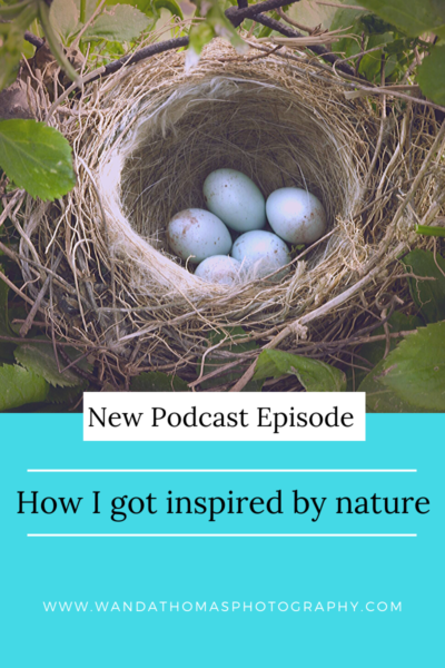 Inspired by nature-a new podcast episode