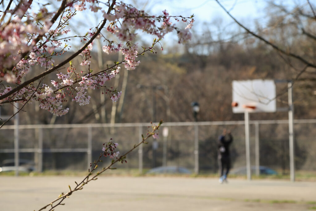 solo basketball player on closed court