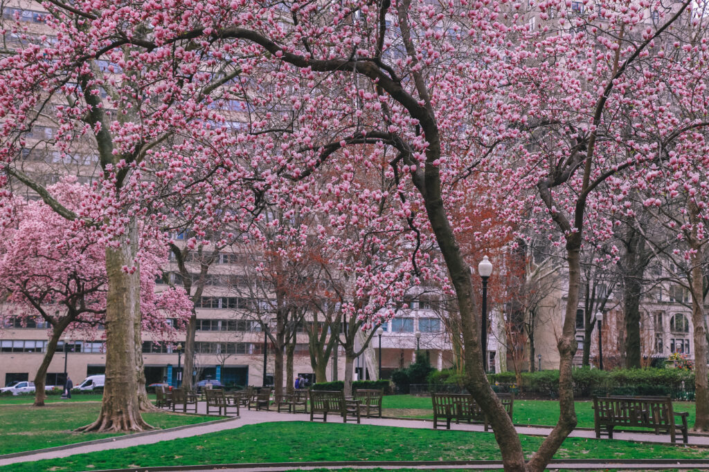 rittenhouse square